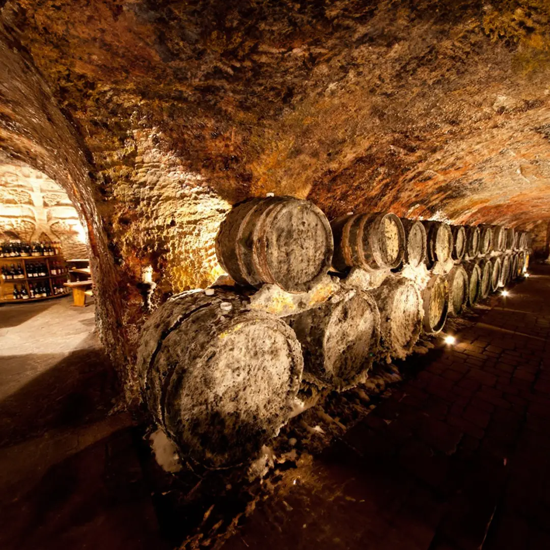 Tokaj wine cellars